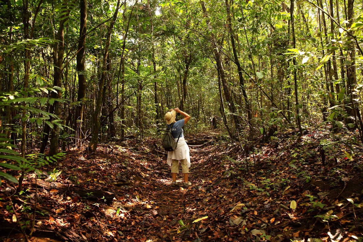 Costa Rica rainforest trail, Pia Harboure