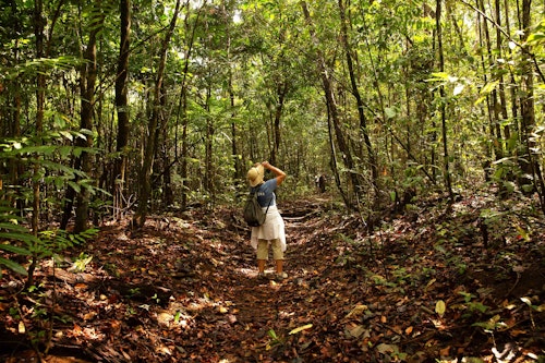 Costa Rica rainforest trail, Pia Harboure