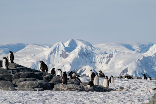 Prospect Point, Antarctica, Stas Zakharov