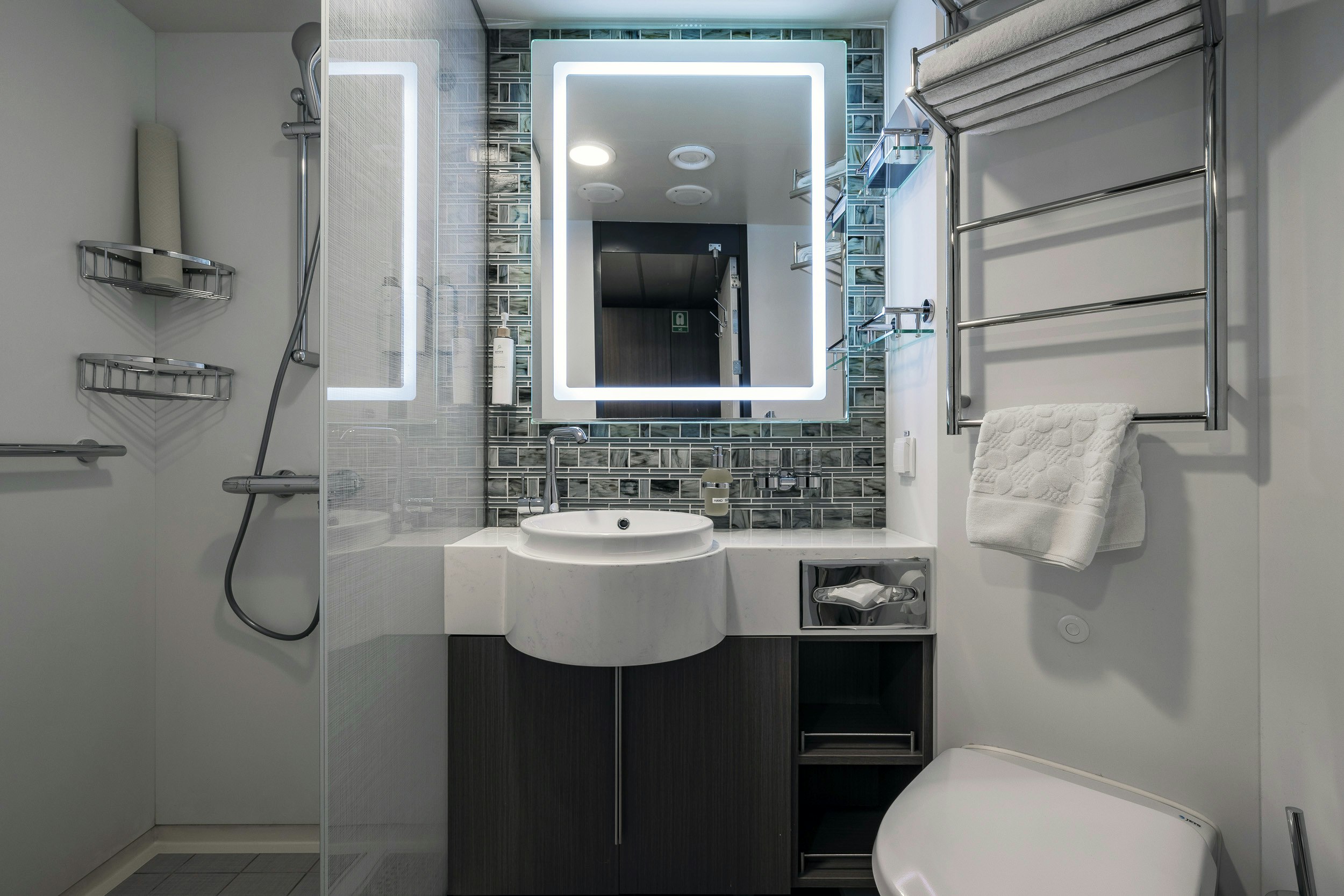 Aurora Stateroom Triple Bathroom