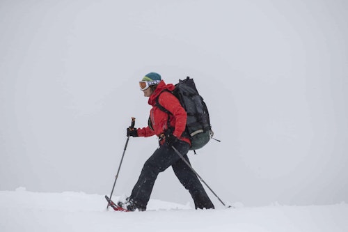 Snowshoeing, Antarctica, Scott Portelli