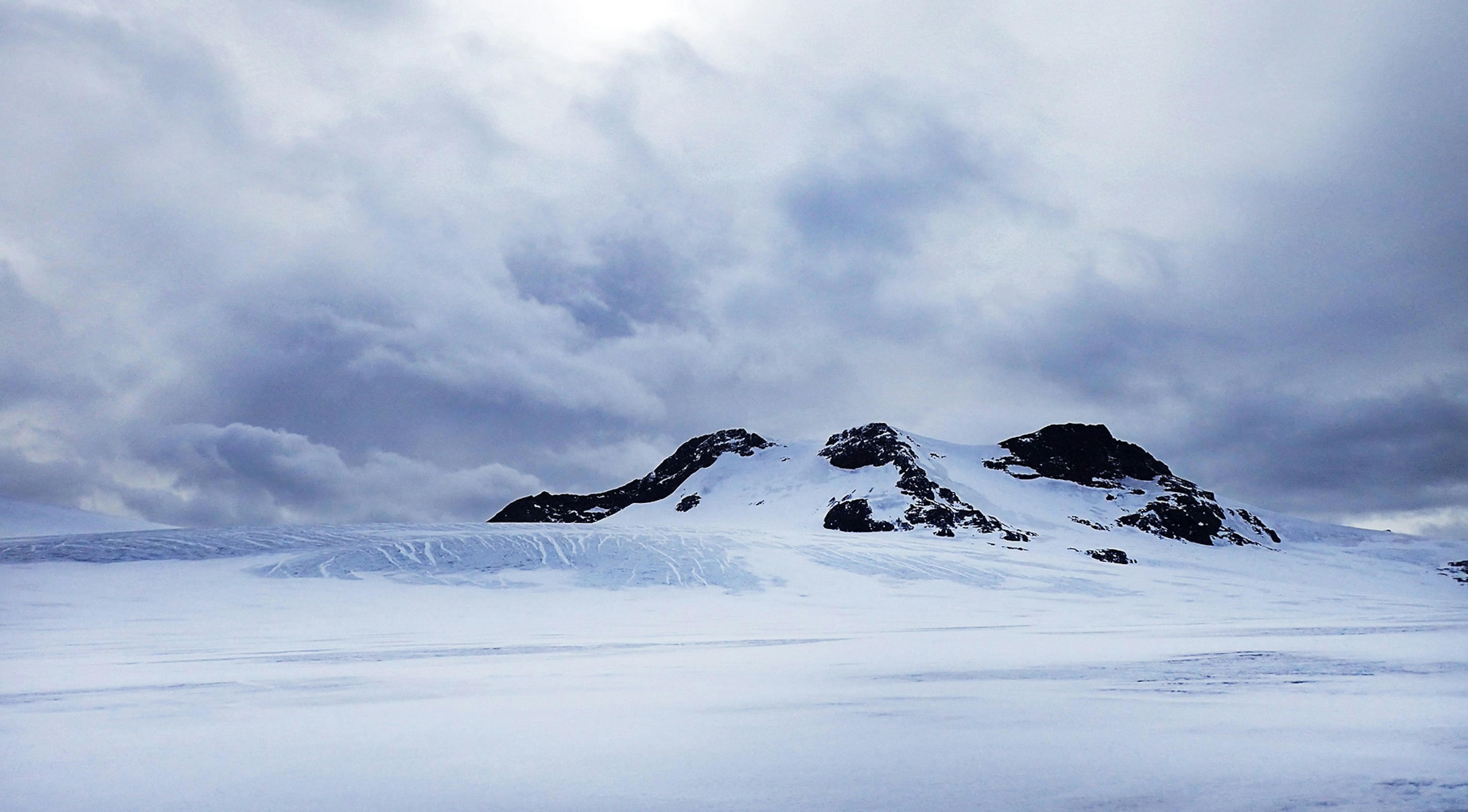 Is Antarctica a desert? YES. Find out why - Aurora Expeditions