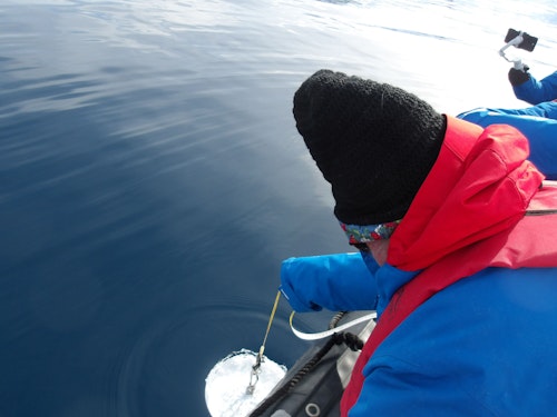 Secchi Disk, Citizen Science, Antarctica, David Jaffe