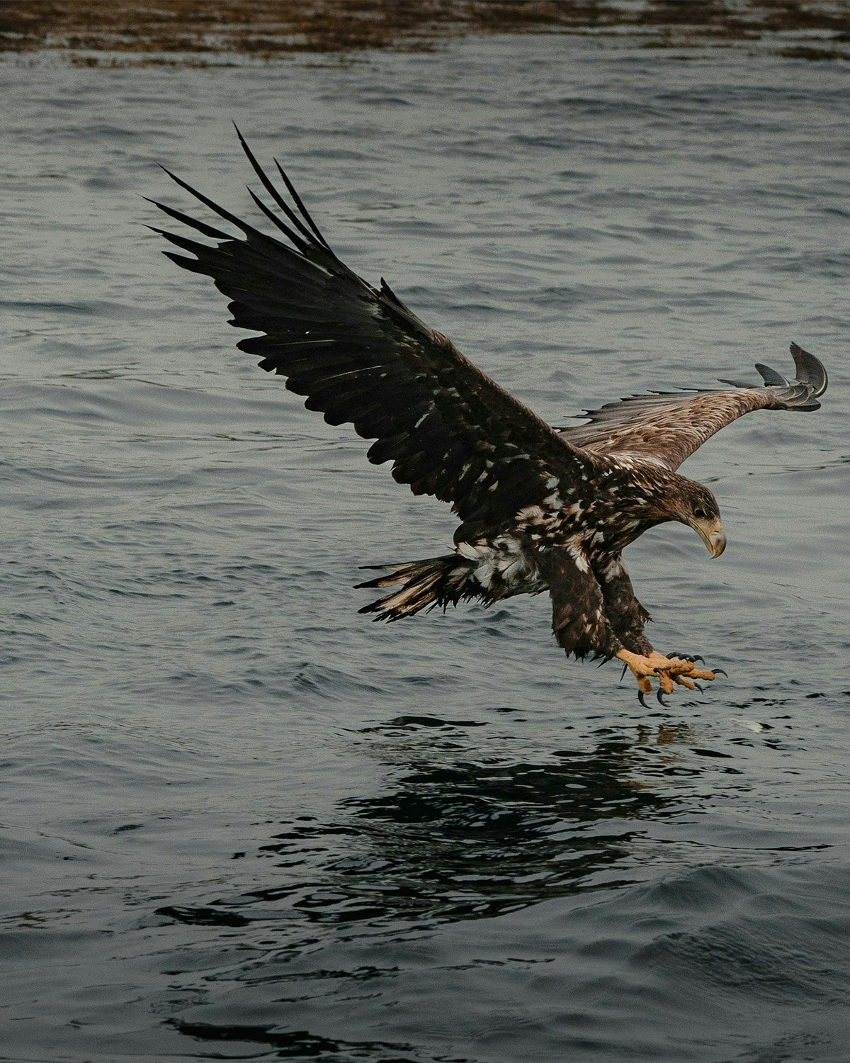 ITT Sea Eagle, Norway, Michiel Annaert