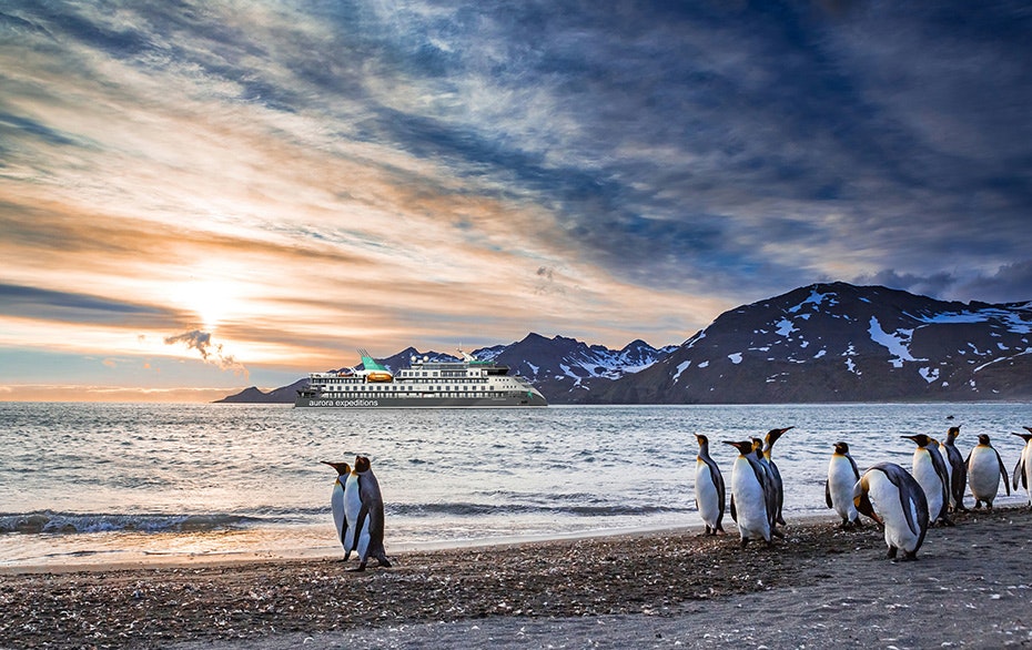 Douglas Mawson Render, South Georgia