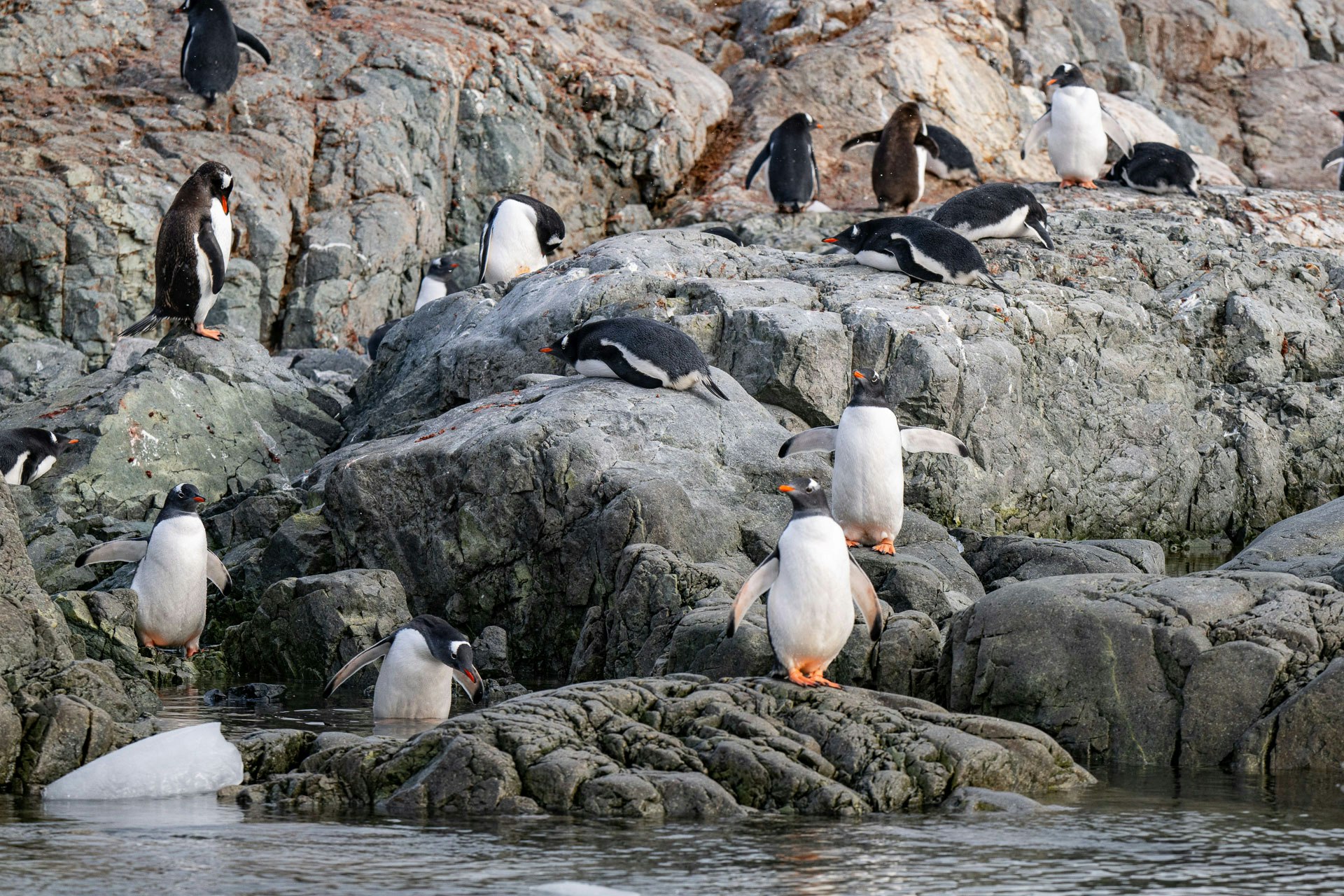 González Videla, Antarctica, Stas Zakharov