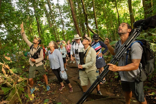 Rainforest trail, Costa Rica, Pia Harboure