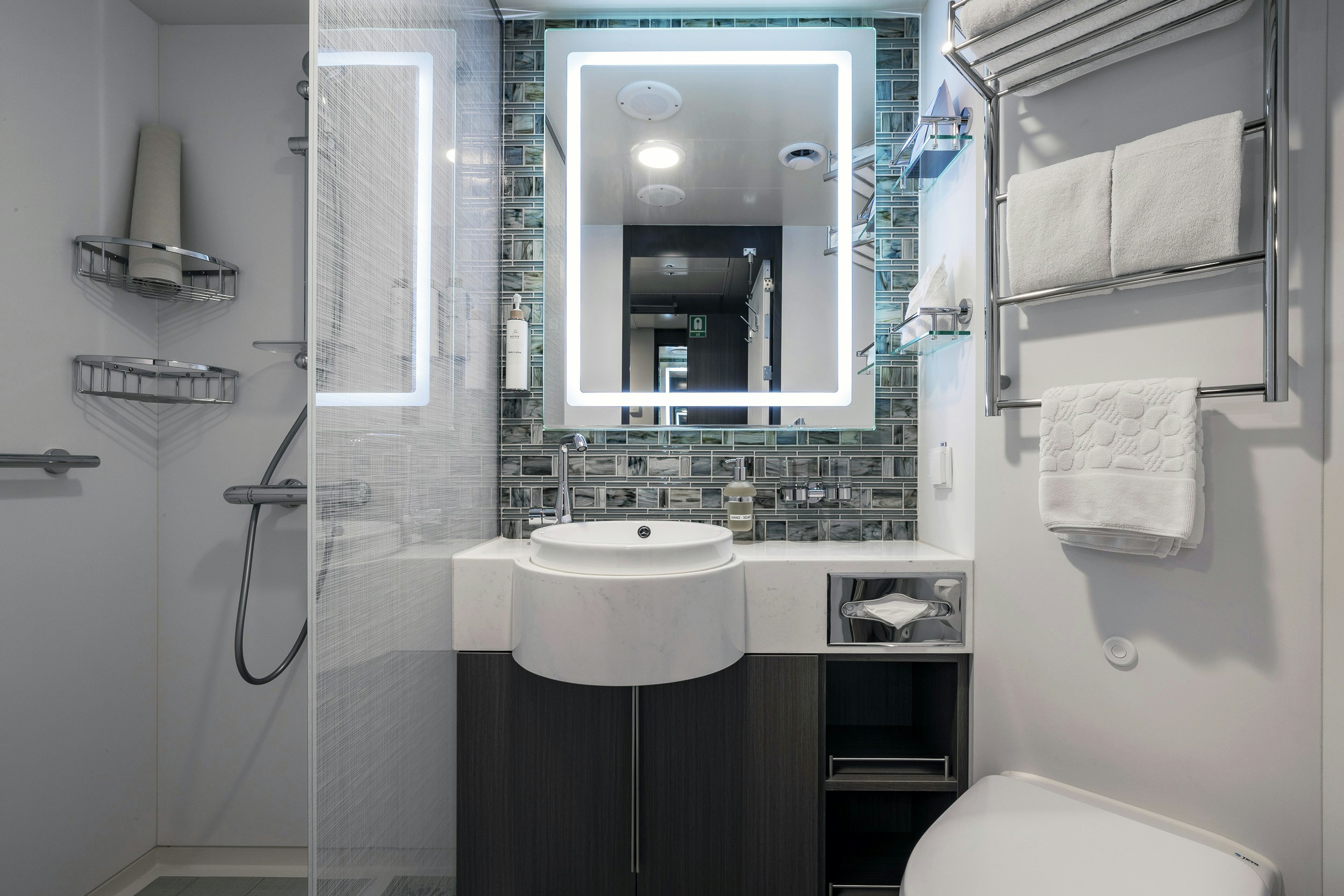 Balcony Stateroom Category A Bathroom