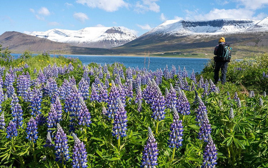 Blog, Thingeyri, Iceland, Jamie Lafferty
