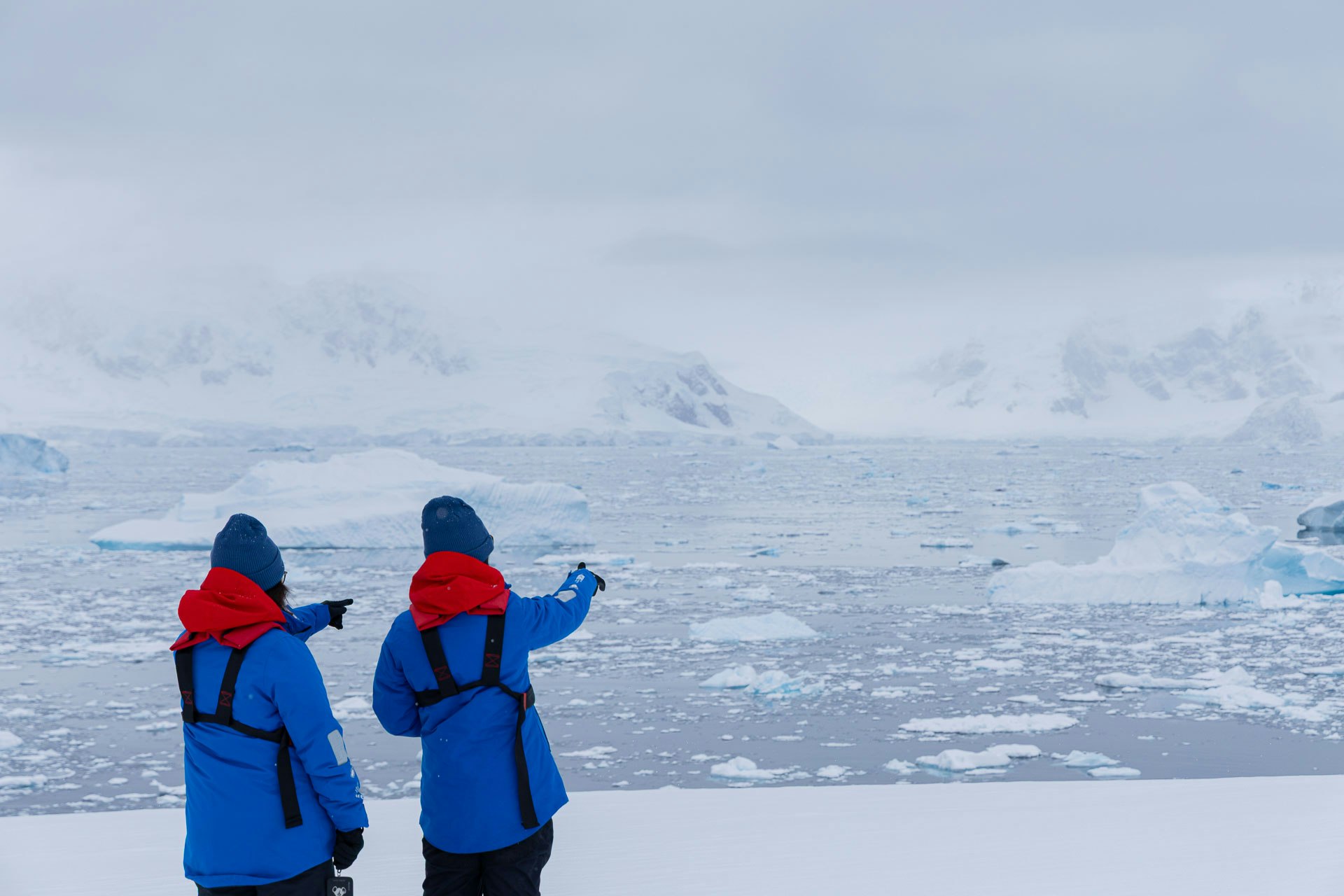 Passengers on Ice, Antarctica, Katie Harber