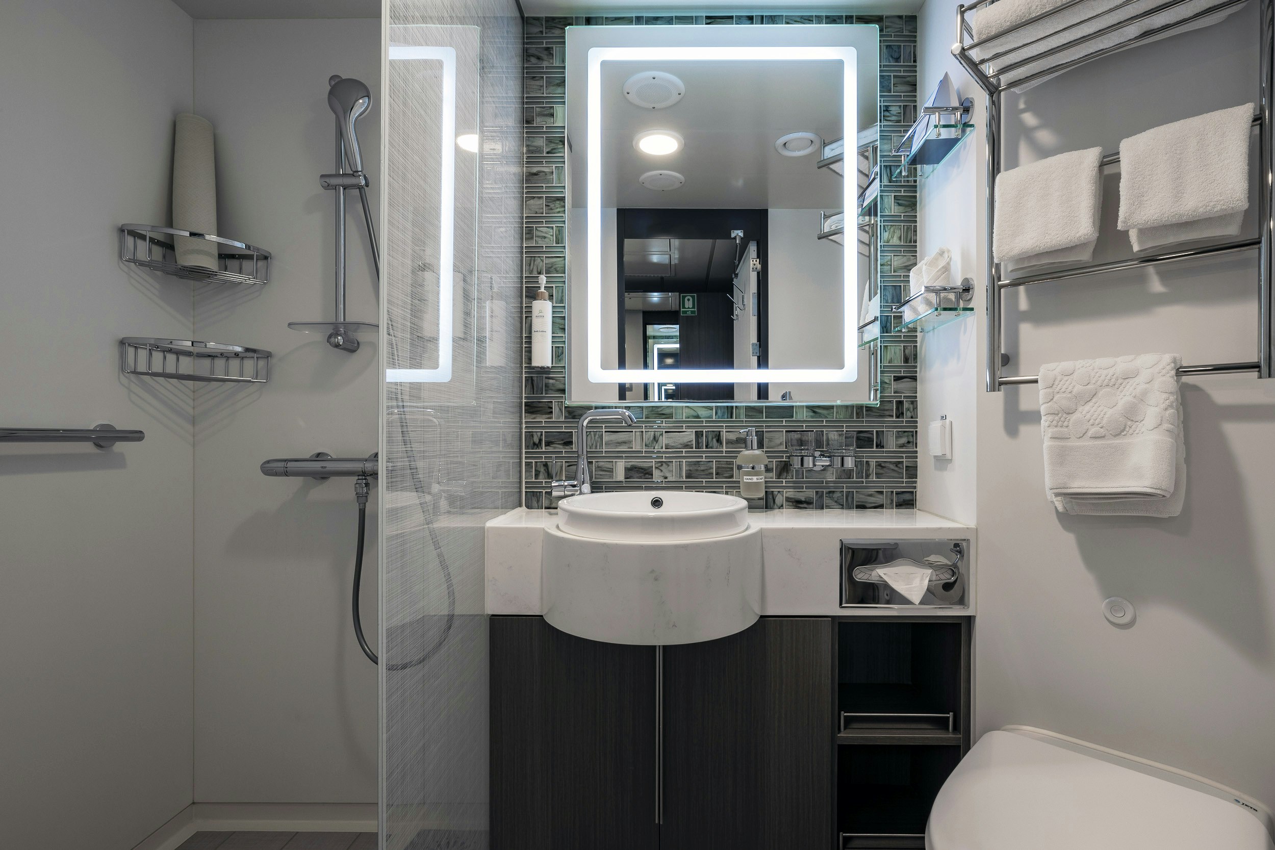 Aurora Stateroom Superior Bathroom