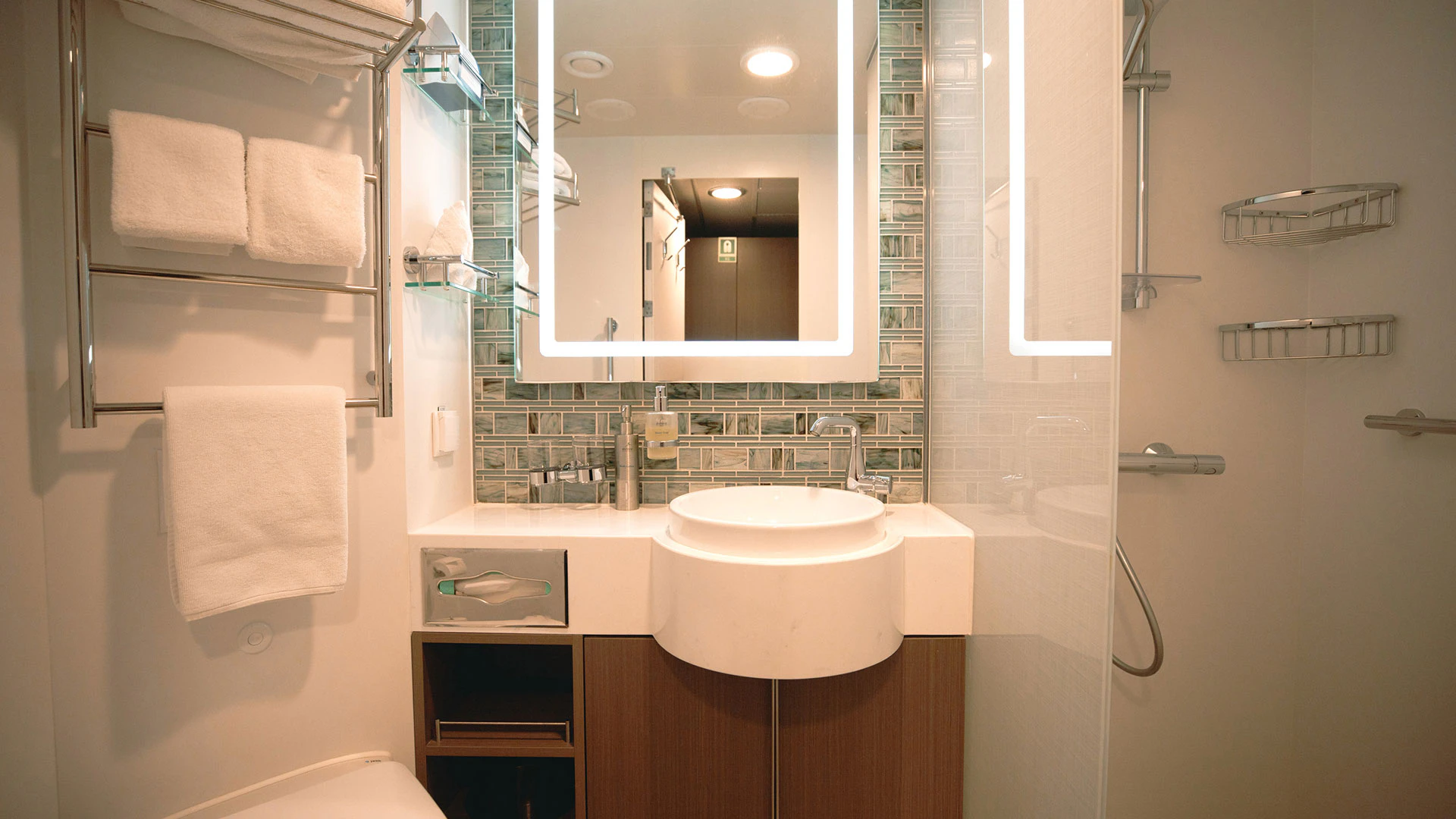 DM Balcony Stateroom A Bathroom