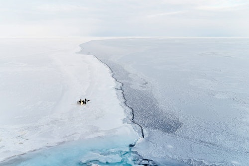 A Small Group of Emperor Penguins Near a Crack in the Sea Ice, Ross Sea, Antarctica, Shutterstock
