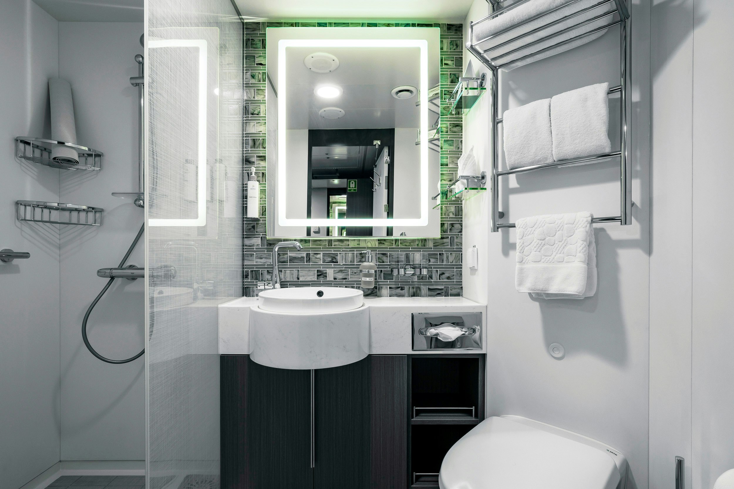 SE Balcony Stateroom Category C Bathroom