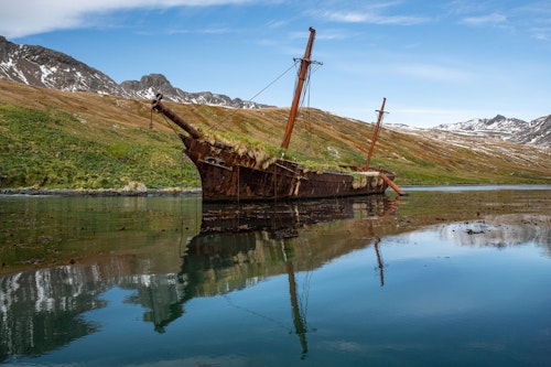 Ocean Harbour, South Georgia, Stas Zakharov