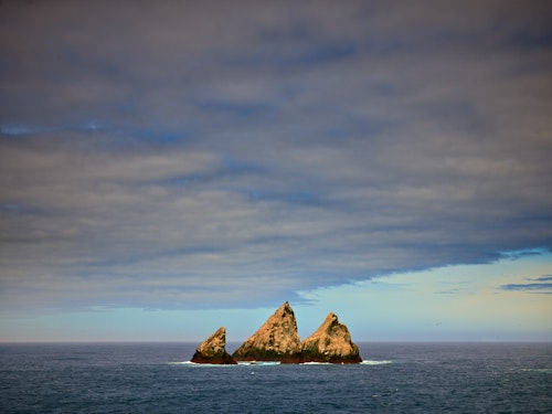 Shag Rocks, to the west of South Georgia, Peter Eastway