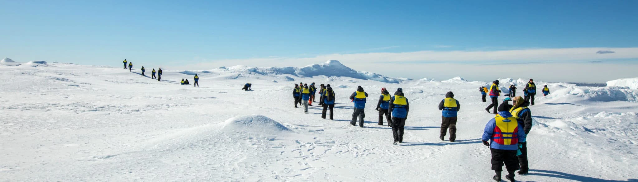 header-amazing-antarctica-1.jpg