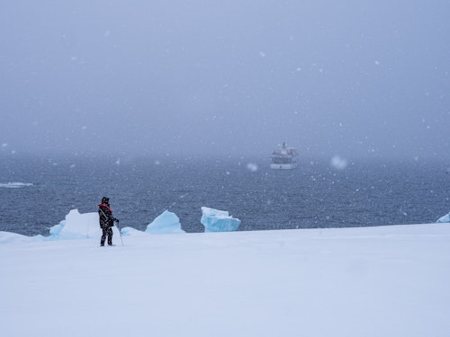 Passenger in the Snow, Portal Point, Antarctica, Matt Horspool
