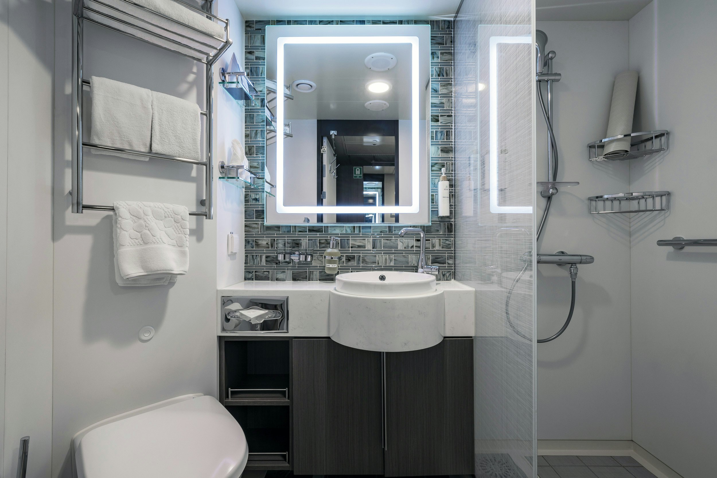 Balcony Stateroom Category B Bathroom